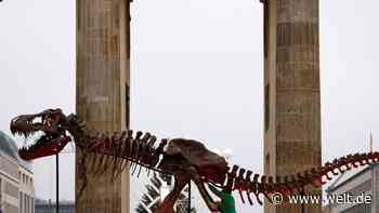 Zuerst die Dinosaurier und jetzt der Kulturbetrieb