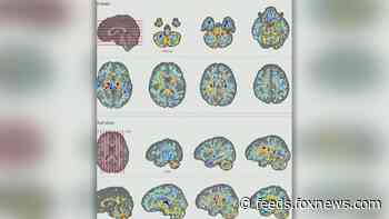 New report attributes strange attacks on US diplomats to microwave radiation; victim demands investigation