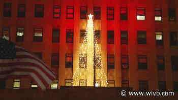 Buffalo City Hall lights holiday tree