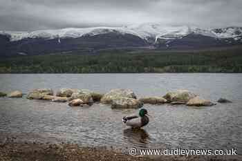 Pollution devastating Scottish species and habitats, report says - Dudley News
