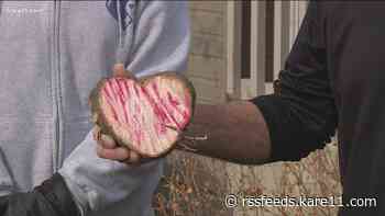 Minnesota family gets the sign they were looking for when they cut down their Christmas tree