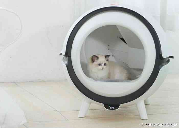 Catson automatic cleaning cat litter box (final hours)