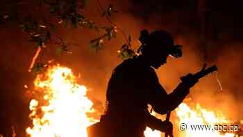 Fort McMurray, Alta., builder charged in California after more complaints from fire victims