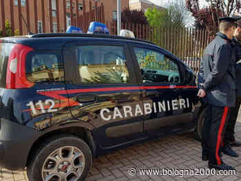 Zola Predosa: banda dei furti in villa messa in fuga dall'arrivo dei carabinieri - Bologna 2000
