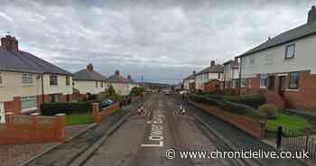 Elderly man dies following one vehicle collision in Alnwick