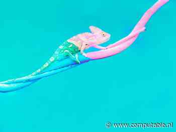 Leverancier en partner = innoveren en schikken