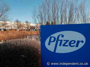 Covid vaccine: FDA panel meets to vote on emergency approval for Pfizer jab