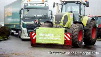 Lidl erhöht Preise für Schweinefleisch