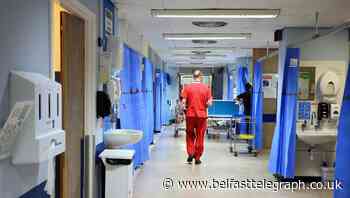 HSE boss hits out at ‘damaging’ comments about student nurse pay