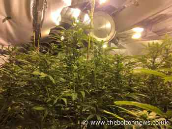 Police dismantle cannabis farm found in Tonge Moor