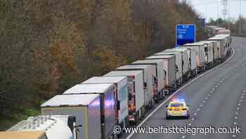 Peers flag concerns over lack of roadside toilets for drivers in post-Brexit jams