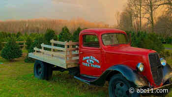 Christmas tree demand booms at this local New Jersey farm