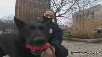 WNY animal hospital donates $7,500 to  Buffalo Police K-9 unit
