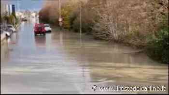 Alluvione Modena, i soccorsi il giorno dopo. Il video - il Resto del Carlino