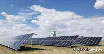 Village of Carmangay the latest in southern Alberta to harness solar power