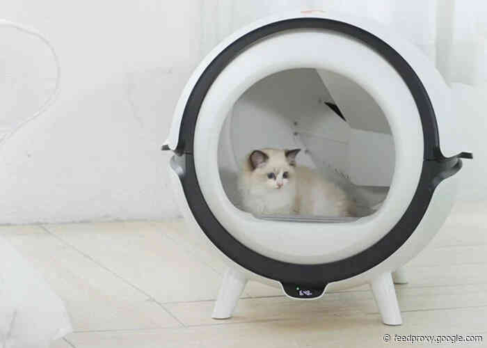 Catson automatic cleaning cat litter box (final hours)