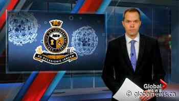 Lethbridge more than doubles COVID-19 case count in 1 month | Watch News Videos Online - Globalnews.ca