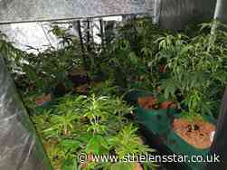 Police find cannabis farm on Rainhill Road - St Helens Star