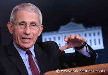 Fauci says 32-year-old brother of daughter’s boyfriend has died of Covid