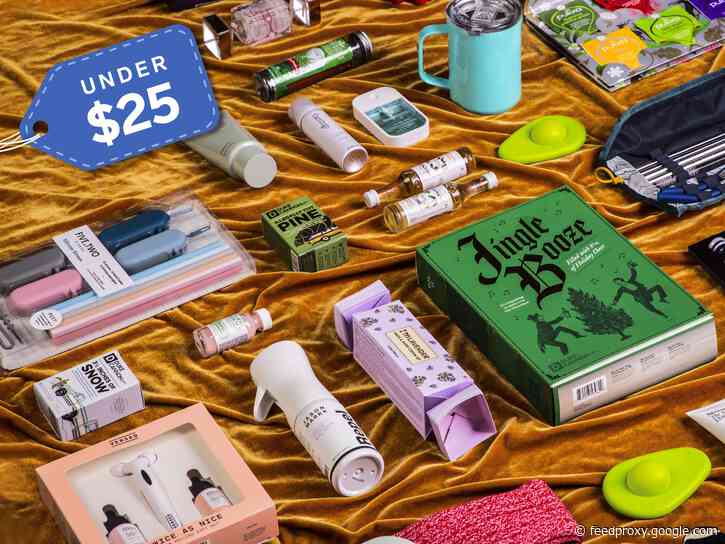 63 thoughtful and fun gifts under $25 that won't get regifted