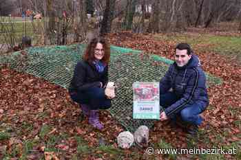 Ternitz: Wo Igel und Insekten nur zu gerne überwintern - meinbezirk.at