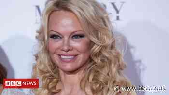Hare coursing: Pamela Anderson asks Micheál Martin for ban