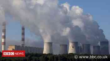 Climate change: EU leaders set 55% target for CO2 emissions cut