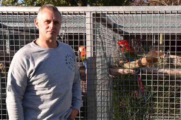 Diefstal van drie ara’s uit Waarschoot voor de rechter: daders uit Aalst riskeren werkstraf