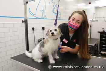 Pets at Home opens new pet care centre in Putney