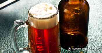 Everything You Need to Make Beer, Wine, Cider, and Mead