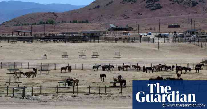 Grand Junction is 'darn hard to get to': ranchers split on public lands agency's move west