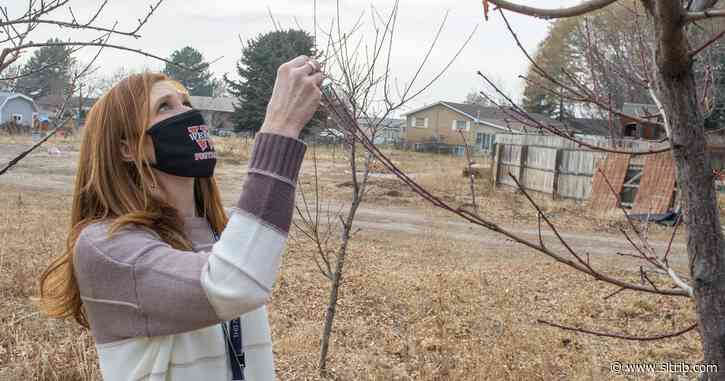 Two years after North Ogden Mayor Brent Taylor’s death in Afghanistan, donors resurrect his mini-farm