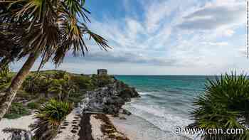 Festival organizers apologize for packed parties without social distancing or masks