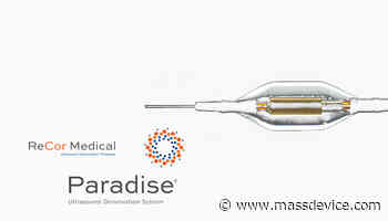 ReCor Medical gains FDA breakthrough nod for renal denervation system - Mass Device