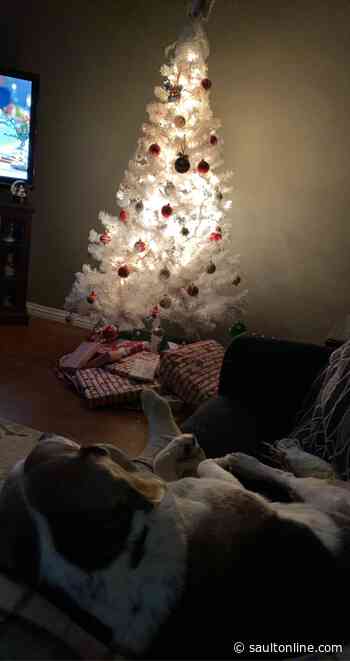 Holiday Pic of the Day: Kelsey Chandler