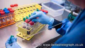 Scientists to trial combination of Oxford-AstraZeneca and Russian vaccines