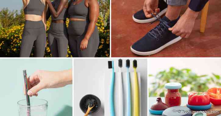 Eco-friendly gifts at every price point