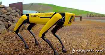 Hyundai buys 80% controlling stake in Boston Dynamics, maker of Spot the robot dog, for $921M     - Roadshow