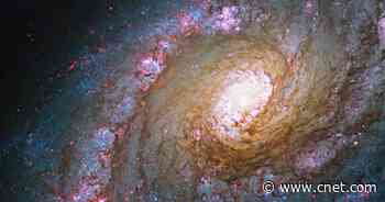 NASA unveils 30 new Hubble telescope space pictures of cosmic wonders     - CNET