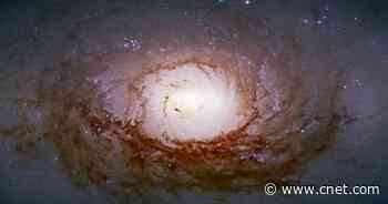 NASA unveils 30 dazzling new Hubble space images for an epic anniversary     - CNET