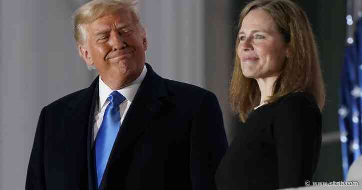 Rich Lowry: The glory of Trump’s judges