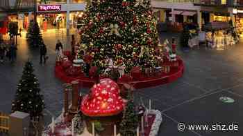 Weihnachten: Im Stadtzentrum Schenefeld steht jetzt ein Wünschebaum | shz.de - shz.de