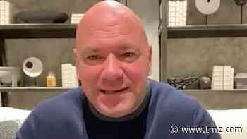Dana White Says 'Zero Chance' Jake Paul Will Fight Conor McGregor