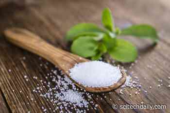 Natural Sweetener Stevia May Lead to a Gut Microbial Imbalance