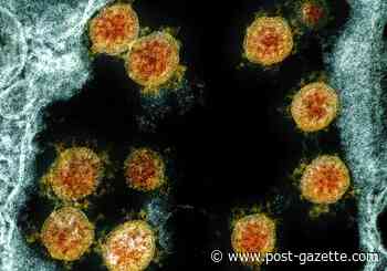 Allegheny County reports more than 1,000 additional COVID-19 infections
