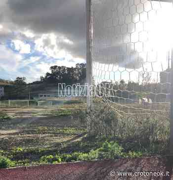 Crotone, l'erba cresce all'interno del Settore B ~ CrotoneOk.it - CrotoneOK.it