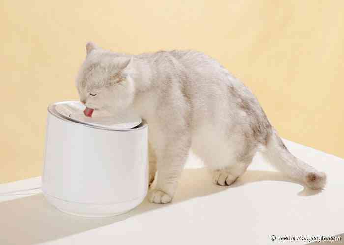 Alvinoo smart pet water fountain keep your pet healthier from $90