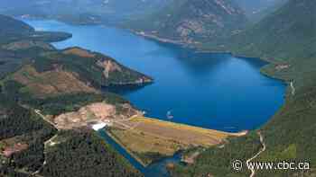 Calls to terminate Columbia River Treaty spark concern after 2 years of negotiations