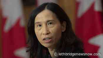 Feds say all large provinces need stronger COVID-19 response 'now' - Lethbridge News Now