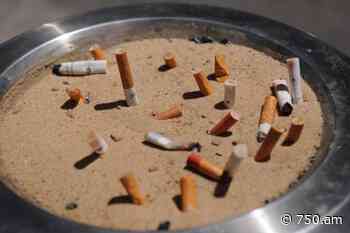 Ciudad de Buenos Aires: multas de hasta 15 mil pesos a quienes tiren colillas de cigarrillo en la calle - 750.am